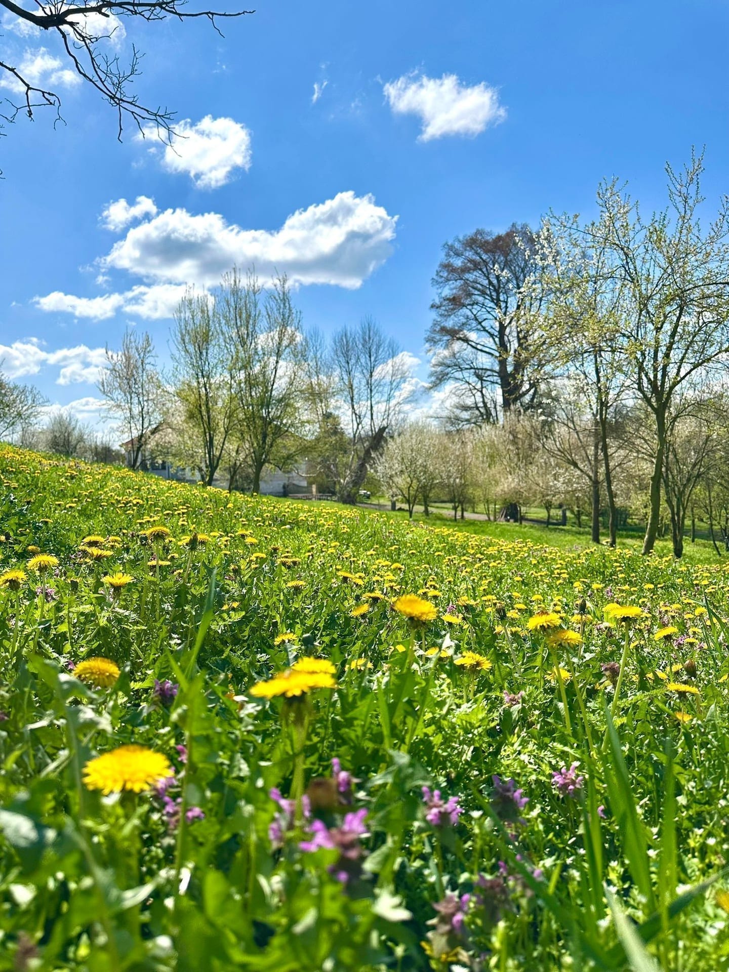 Natură la Domeniile Murani